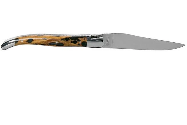 Laguiole En Aubrac 12cm Double Plates, Hand-filed Cactus, L0712CA51-FSI1 - Image 2