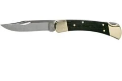 Buck 110 Folding Hunter