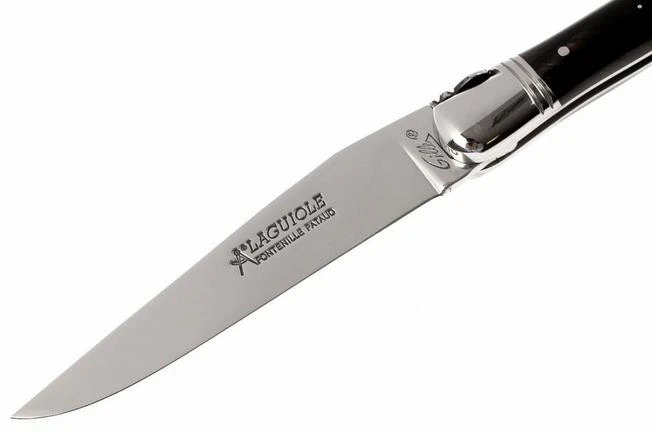 Fontenille Pataud L6PCN - Image 2